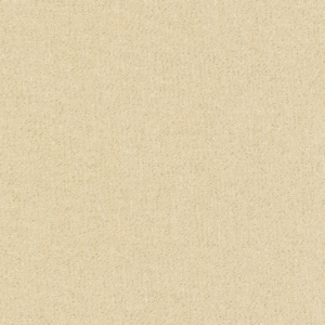 Glimmer Solids Champagne